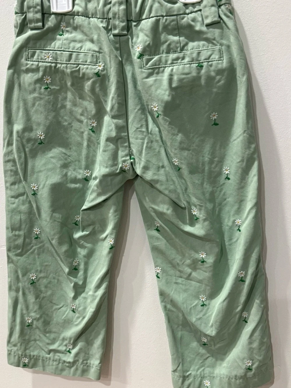 GAP Sage Green Daisy Embroidered Chinos